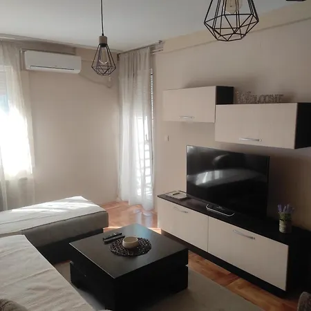 Div * Novi Sad